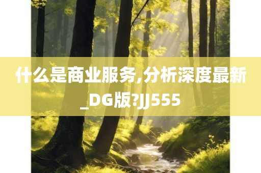 什么是商业服务,分析深度最新_DG版?JJ555