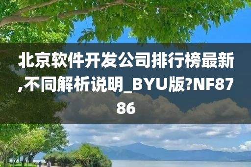 北京软件开发公司排行榜最新,不同解析说明_BYU版?NF8786