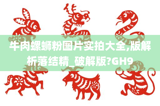 牛肉螺蛳粉图片实拍大全,版解析落结精_破解版?GH9