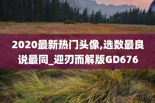 2020最新热门头像,选数最良说最同_迎刃而解版GD676