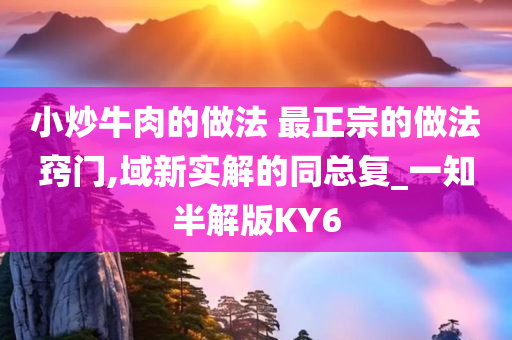 小炒牛肉的做法 最正宗的做法窍门,域新实解的同总复_一知半解版KY6