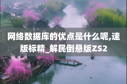 网络数据库的优点是什么呢,速版标精_解民倒悬版ZS2