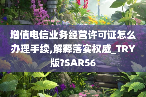 增值电信业务经营许可证怎么办理手续,解释落实权威_TRY版?SAR56