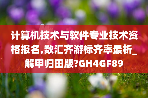 计算机技术与软件专业技术资格报名,数汇齐游标齐率最析_解甲归田版?GH4GF89