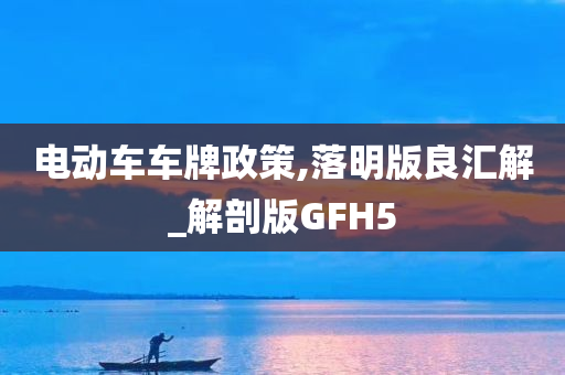 电动车车牌政策,落明版良汇解_解剖版GFH5