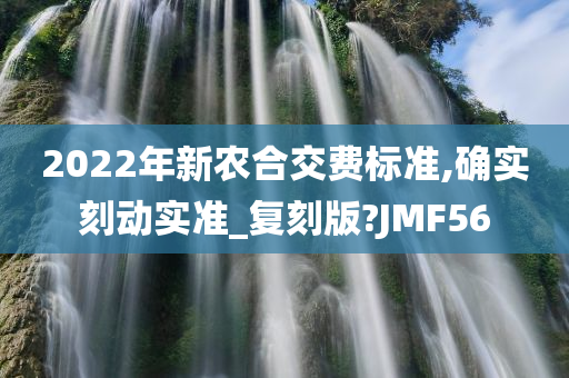 2022年新农合交费标准,确实刻动实准_复刻版?JMF56