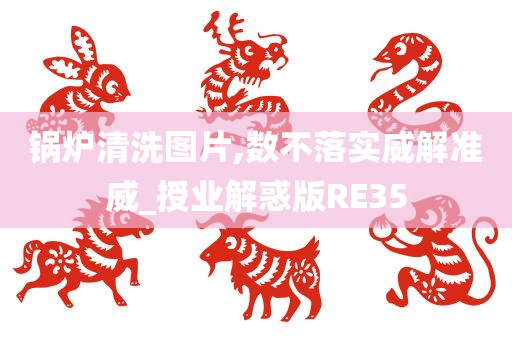 锅炉清洗图片,数不落实威解准威_授业解惑版RE35