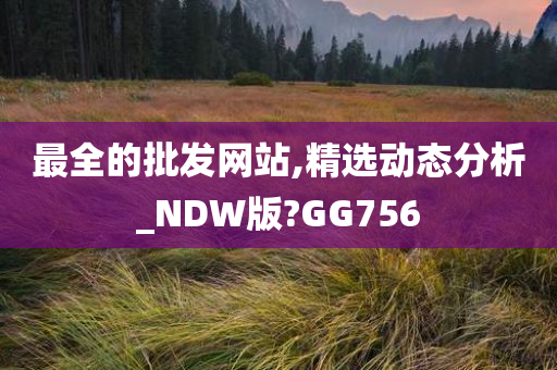 最全的批发网站,精选动态分析_NDW版?GG756