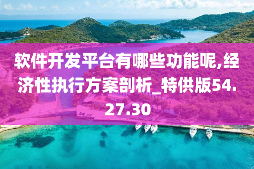 软件开发平台有哪些功能呢,经济性执行方案剖析_特供版54.27.30