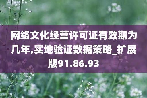 网络文化经营许可证有效期为几年,实地验证数据策略_扩展版91.86.93