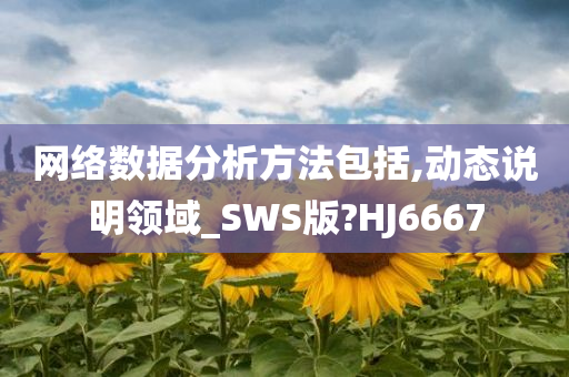 网络数据分析方法包括,动态说明领域_SWS版?HJ6667