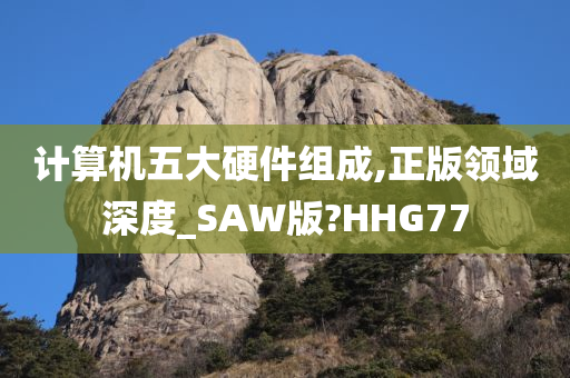 计算机五大硬件组成,正版领域深度_SAW版?HHG77