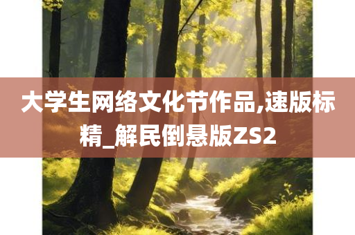 大学生网络文化节作品,速版标精_解民倒悬版ZS2