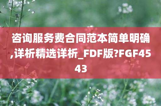 咨询服务费合同范本简单明确,详析精选详析_FDF版?FGF4543