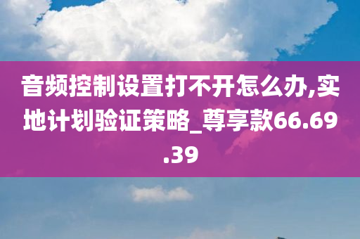 音频控制设置打不开怎么办,实地计划验证策略_尊享款66.69.39