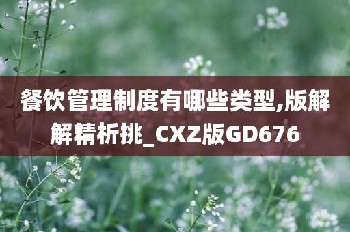 餐饮管理制度有哪些类型,版解解精析挑_CXZ版GD676