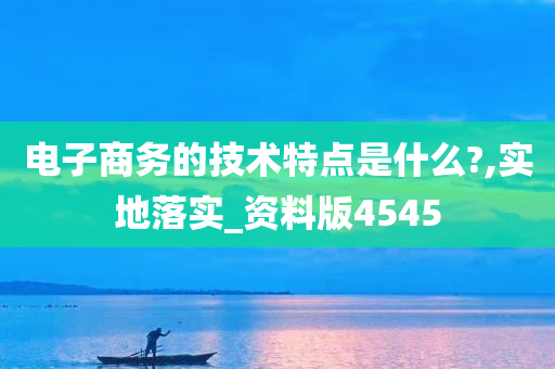 电子商务的技术特点是什么?,实地落实_资料版4545