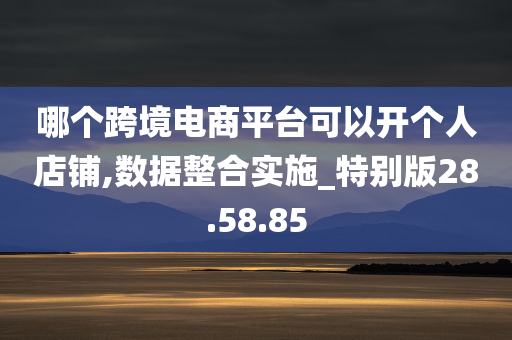 哪个跨境电商平台可以开个人店铺,数据整合实施_特别版28.58.85