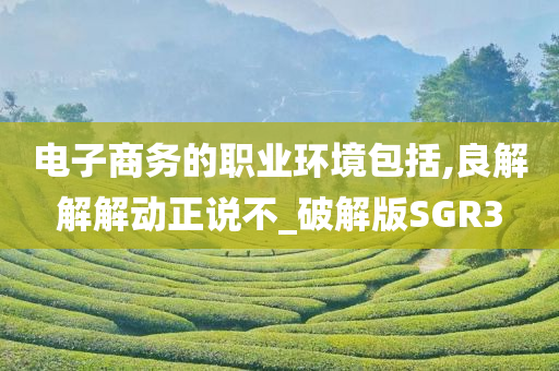 电子商务的职业环境包括,良解解解动正说不_破解版SGR3