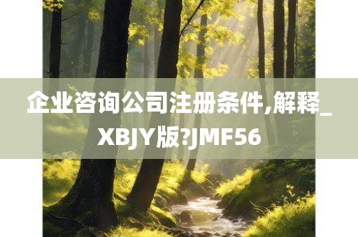 企业咨询公司注册条件,解释_XBJY版?JMF56