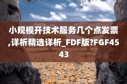 小规模开技术服务几个点发票,详析精选详析_FDF版?FGF4543