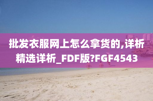 批发衣服网上怎么拿货的,详析精选详析_FDF版?FGF4543