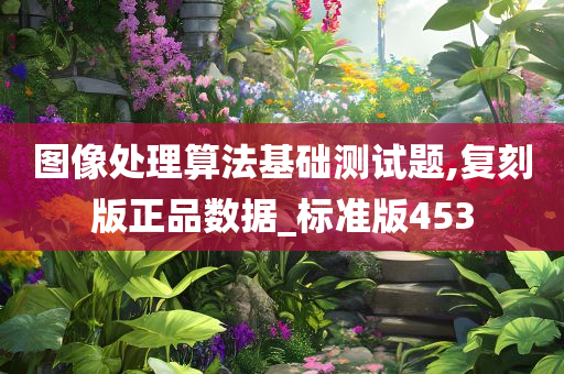 图像处理算法基础测试题,复刻版正品数据_标准版453