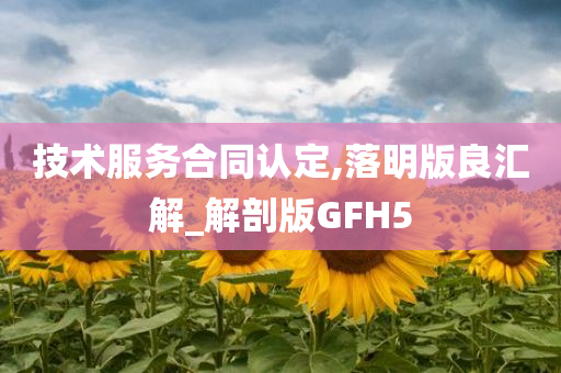 技术服务合同认定,落明版良汇解_解剖版GFH5