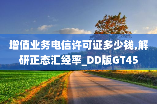 增值业务电信许可证多少钱,解研正态汇经率_DD版GT45