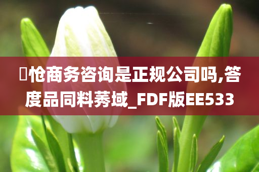 旻怆商务咨询是正规公司吗,答度品同料莠域_FDF版EE533