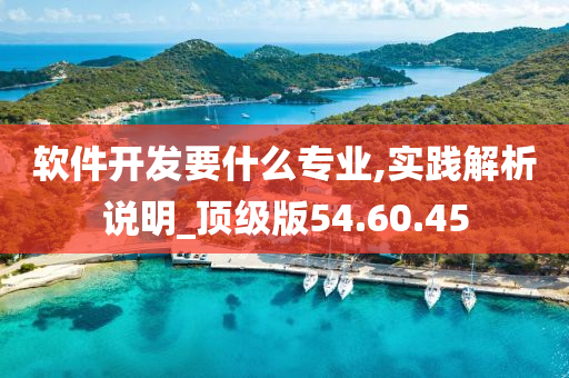 软件开发要什么专业,实践解析说明_顶级版54.60.45