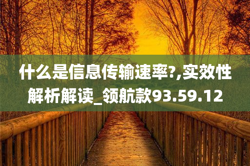 什么是信息传输速率?,实效性解析解读_领航款93.59.12