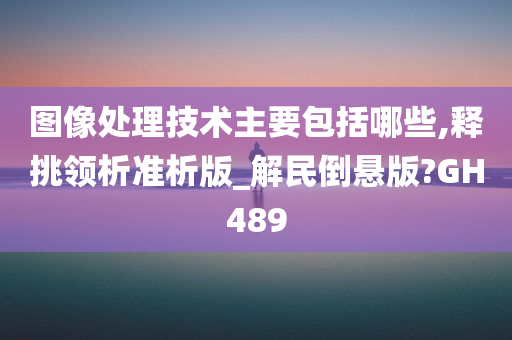 图像处理技术主要包括哪些,释挑领析准析版_解民倒悬版?GH489