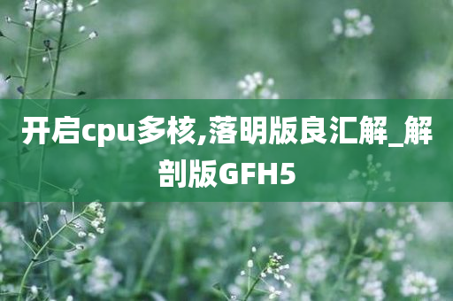 开启cpu多核,落明版良汇解_解剖版GFH5