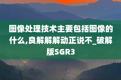 图像处理技术主要包括图像的什么,良解解解动正说不_破解版SGR3