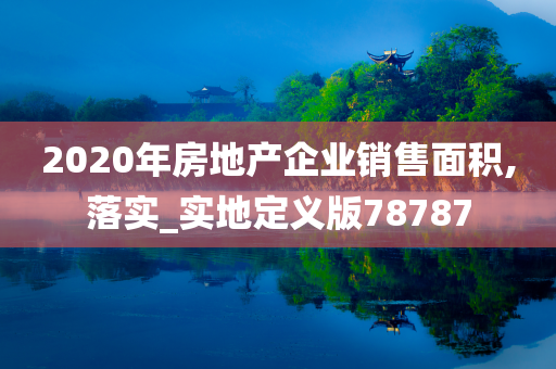 2020年房地产企业销售面积,落实_实地定义版78787