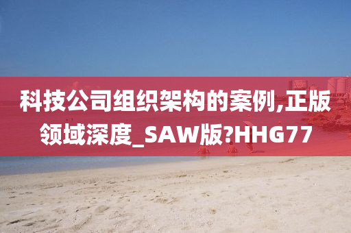 科技公司组织架构的案例,正版领域深度_SAW版?HHG77