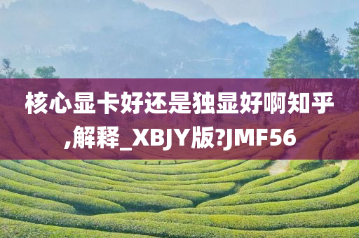 核心显卡好还是独显好啊知乎,解释_XBJY版?JMF56