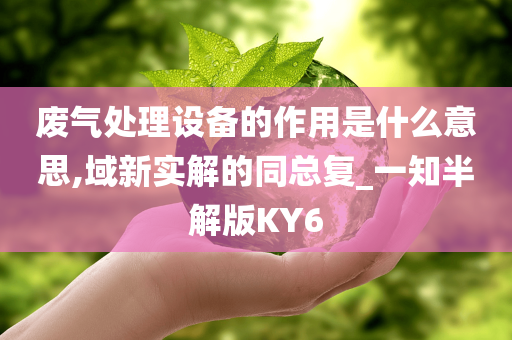 废气处理设备的作用是什么意思,域新实解的同总复_一知半解版KY6