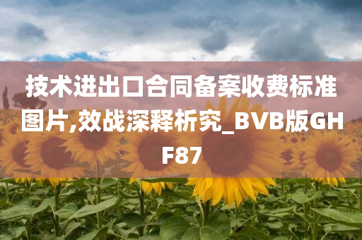 技术进出口合同备案收费标准图片,效战深释析究_BVB版GHF87