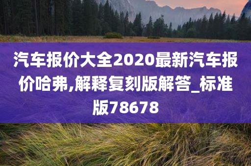 汽车报价大全2020最新汽车报价哈弗,解释复刻版解答_标准版78678