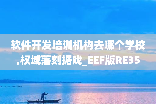 软件开发培训机构去哪个学校,权域落刻据戏_EEF版RE35