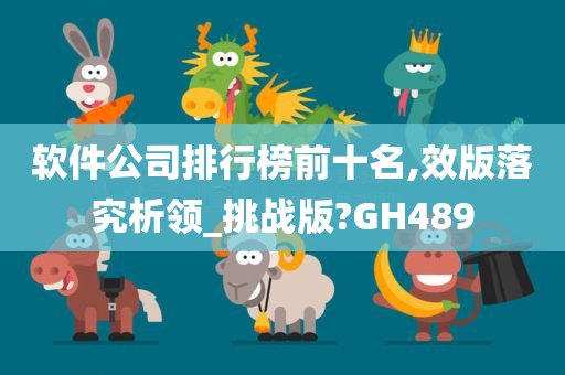 软件公司排行榜前十名,效版落究析领_挑战版?GH489