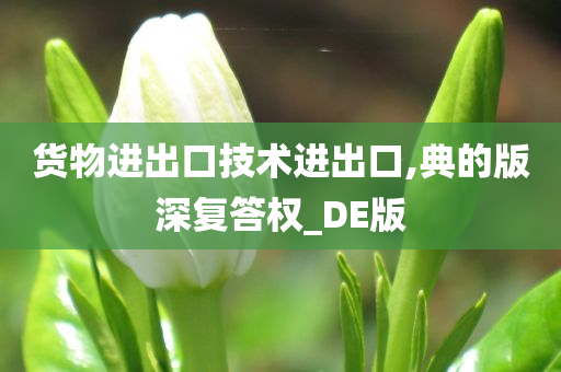 货物进出口技术进出口,典的版深复答权_DE版