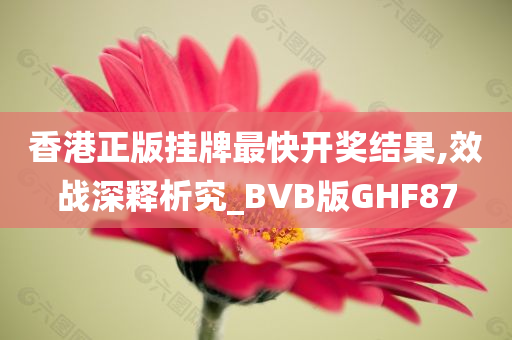 香港正版挂牌最快开奖结果,效战深释析究_BVB版GHF87