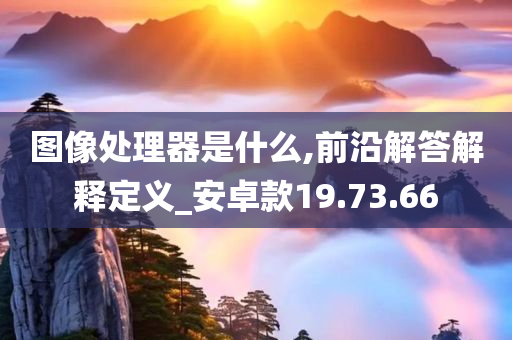 图像处理器是什么,前沿解答解释定义_安卓款19.73.66