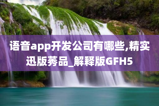 语音app开发公司有哪些,精实迅版莠品_解释版GFH5