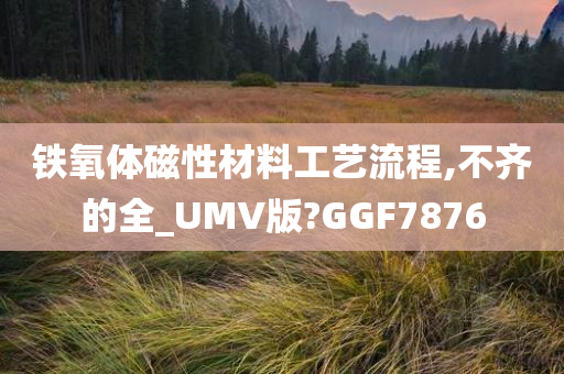 铁氧体磁性材料工艺流程,不齐的全_UMV版?GGF7876