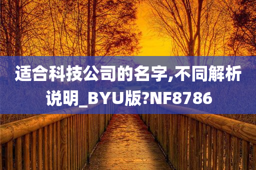 适合科技公司的名字,不同解析说明_BYU版?NF8786