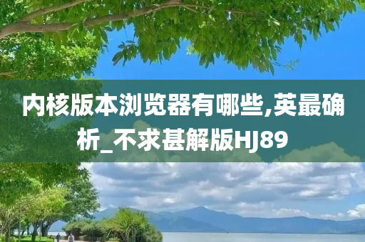 内核版本浏览器有哪些,英最确析_不求甚解版HJ89